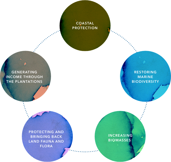 Coastal protection - Restoring marine biodiversity - Increasing biomasses - Protecting and bringing back land fauna and flora - Generating income through the plantations